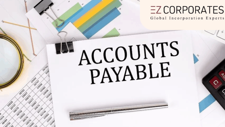Accounts Payable Services USA | Accounts Payable Outsourcing Services in USA  | What is accounts payable? | Ez Corporates